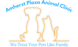 Amherst Plaza Animal Clinic — We treat your pets like family