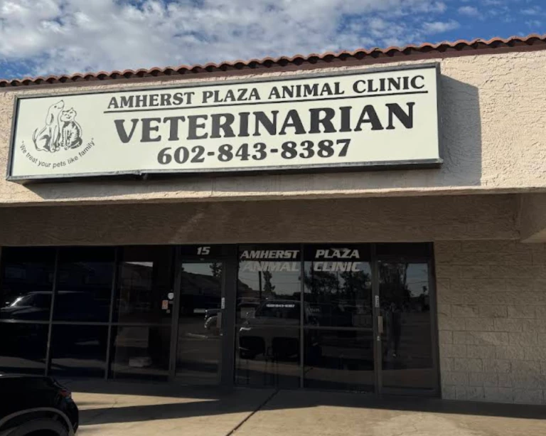 The Amherst Plaza Animal Clinic storefront on West Greenway Road